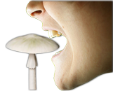 Ядовитый не есть